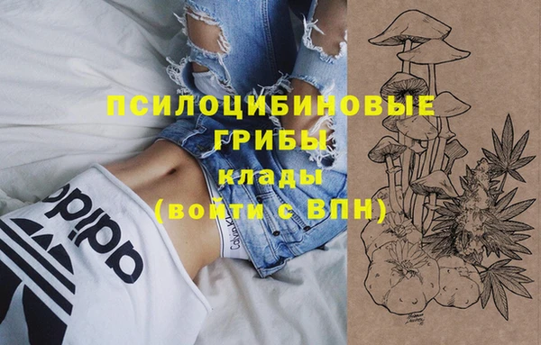 таблы Алексеевка