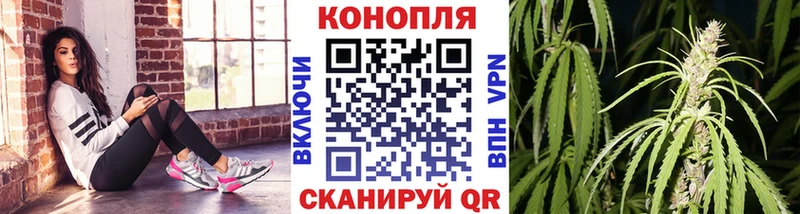 Бошки марихуана индика  Феодосия 